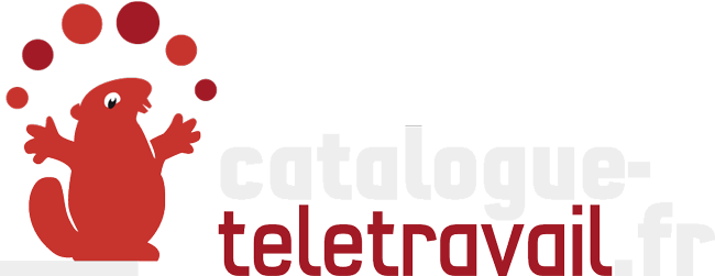 catalogue-teletravail.fr